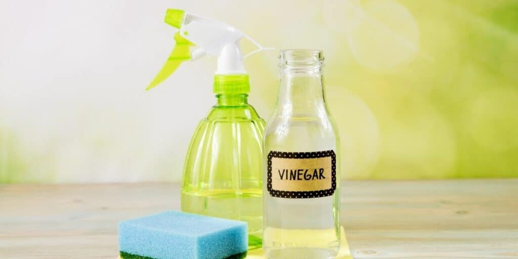 vinegar for cleaning